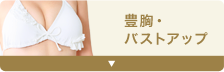 豊胸・バストアップ