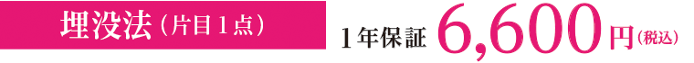 埋没法（片目1点）1年保証 5,600円（税別）