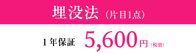 埋没法（片目1点）1年保証 5,600円（税別）