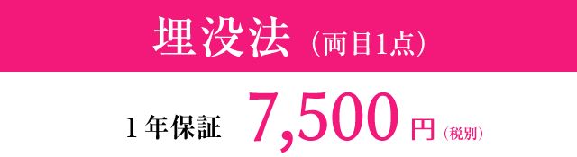 埋没法（両目1点）1年保証 7,500円（税別）
