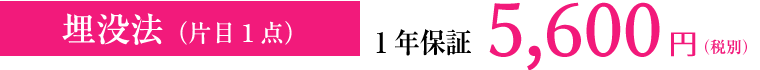 埋没法（片目1点）1年保証 5,600円（税別）