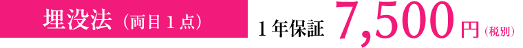 埋没法（両目1点）1年保証 7,500円（税別）