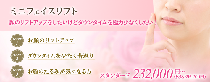 ミニフェイスリフト