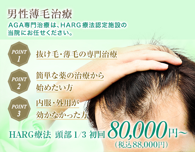 Hair Laser Premium 発毛・育毛機