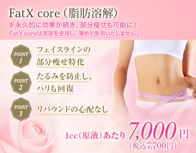 FatX coreリバウンドがほとんどない！新しい脂肪溶解注射とは｜脂肪吸引・痩身｜美容整形のことなら千葉 船橋・銀座の東京形成美容外科・美容皮膚科