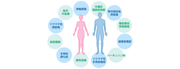 さまざまな疾患に効果が期待できる