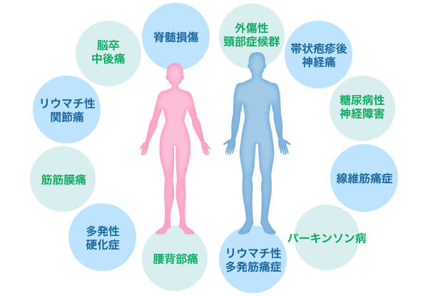 さまざまな疾患に効果が期待できる