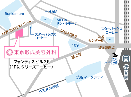 アクセスマップ